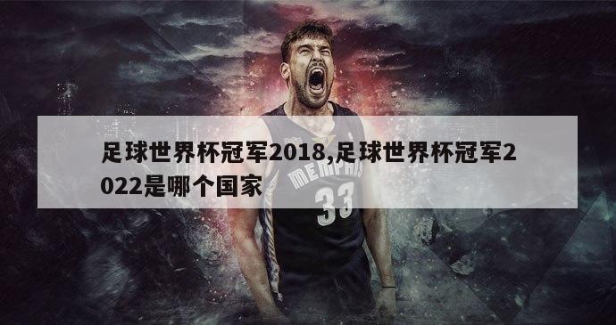 足球世界杯冠军2018,足球世界杯冠军2022是哪个国家