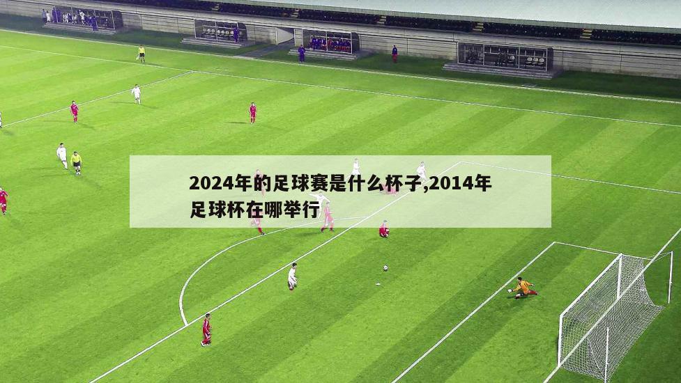 2024年的足球赛是什么杯子,2014年足球杯在哪举行