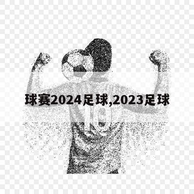 球赛2024足球,2023足球