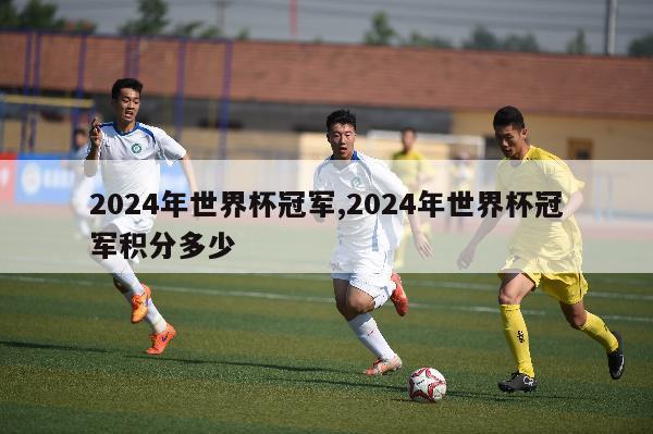 2024年世界杯冠军,2024年世界杯冠军积分多少