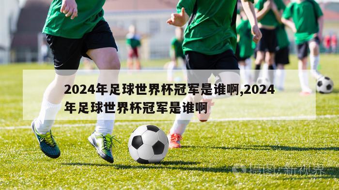 2024年足球世界杯冠军是谁啊,2024年足球世界杯冠军是谁啊